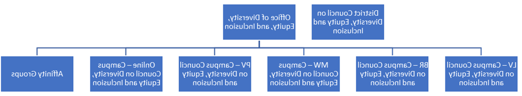 DEI Governance Org Chart